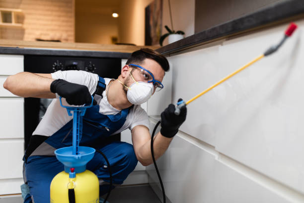Best Rat Extermination Near Me  in Knox, PA