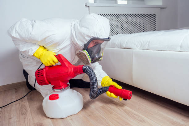 Best Wasp Removal Services  in Knox, PA