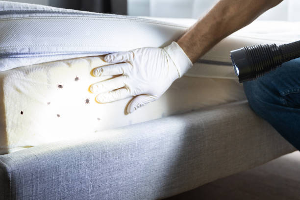 Best Pest Removal Services  in Knox, PA