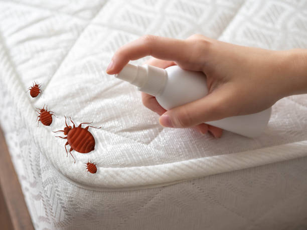Best Best Pest Control Companies  in Knox, PA