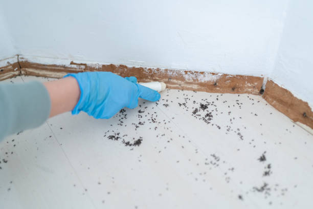 Best Pest Inspection Near Me  in Knox, PA